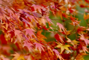 0AB5136D-B99A-468E-AE26-B76EB0D68E48/L0/001