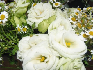 86BE682A-9692-4E17-97BC-C0D9822E5136/L0/001