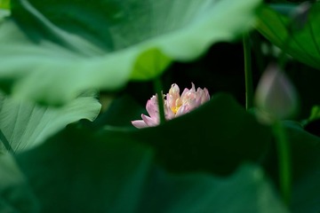 DSC_0915.jpg