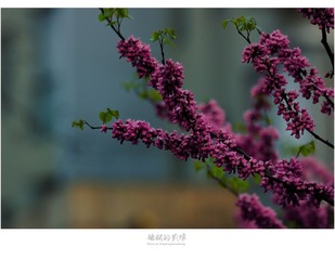 DSC_3102.jpg