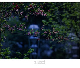 DSC_3058.jpg