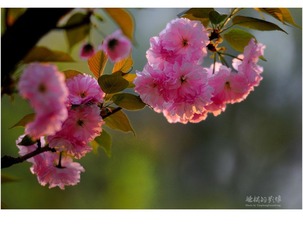 DSC_3061.jpg