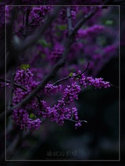 DSC_3086.jpg