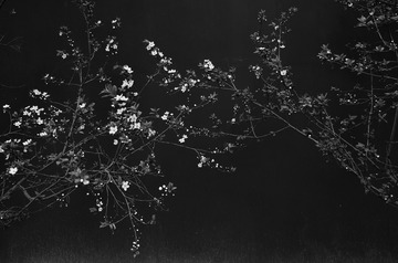 MZY_7193-h