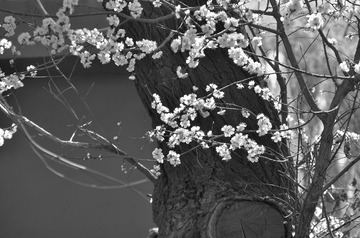 MZY_7182