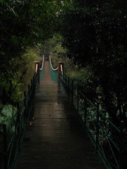 IMG_2571.jpg