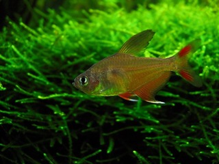 IMG_61166.jpg