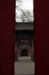 MZY_0109.jpg
