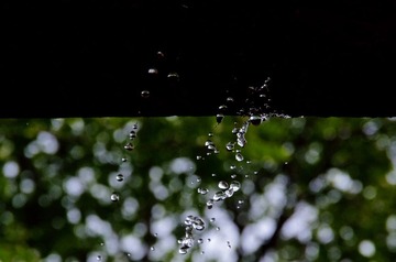 MZY_6778