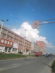 3184787