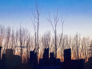 6C29C194-C17B-4E15-957E-5A5D6CB80291/L0/001