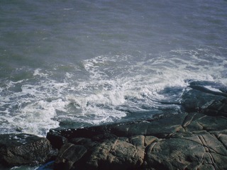 5566C29C-4E59-4979-BAB1-6B89608DCA5E/L0/001