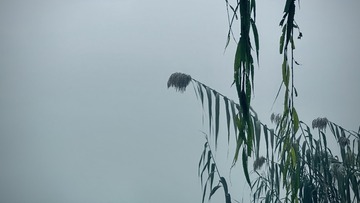 C218D7CA-0C8B-4413-B83D-72C4E896D742/L0/001
