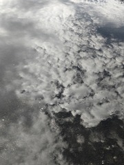 1000006743