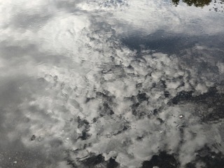 1000006744
