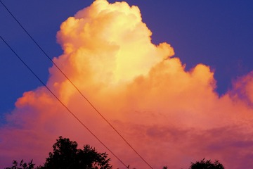69099192-7CC5-43CE-845C-396EB24AD02C/L0/001
