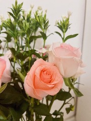 3FB31206-B7F3-4537-90EF-3D471C9FD0AE/L0/001