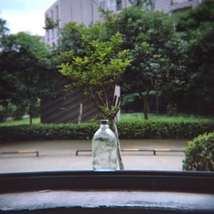 48590011.JPG