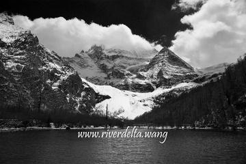 DSC03281-BW