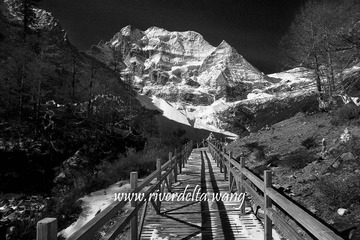 DSC03446-BW
