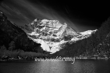 DSC03490-BW