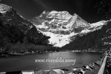 DSC03573-BW