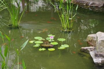 IMGP0168.JPG