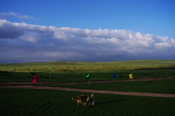 IMGP0328.jpg