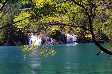10寸横_1.jpg