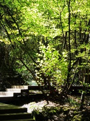 P1010651_nEO_IMG.jpg