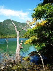 P1010660_nEO_IMG.jpg