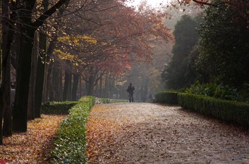 明孝陵_20131125_0150