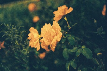 F68211CC-5BB4-47EA-A4F5-6C04D5C8AF87/L0/001