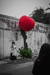 173306