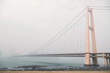 1000016236