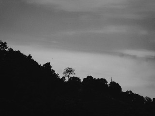 IMG_20240618_174854