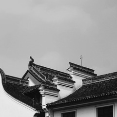 IMG_20240625_142940