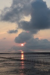 1020026