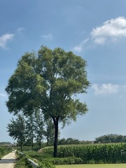B573BA17-B28D-468A-9EC4-828051D2F257/L0/001
