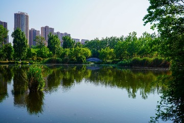 DSC00913_1