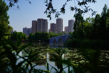 DSC00894