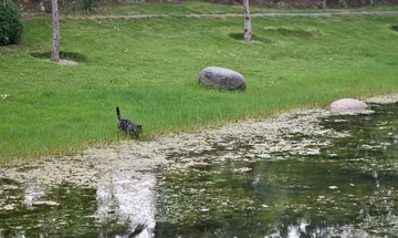 DSC_0781.jpg