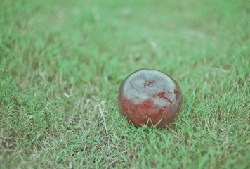 DSC_1835.jpg