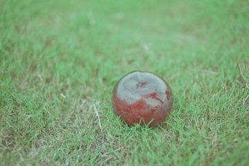 DSC_1835.jpg