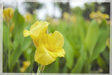 DSC_0808.jpg