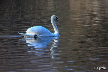 0F7B3955