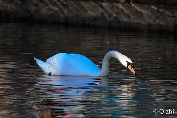 0F7B3966