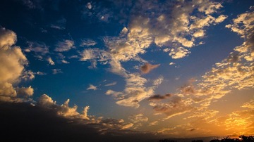 _25A9102