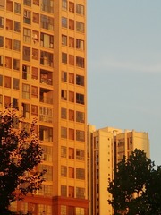 1019363