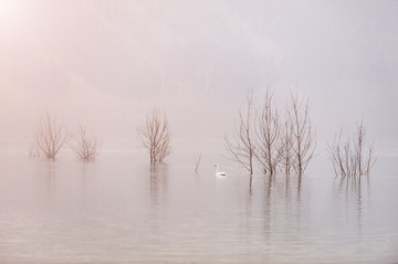 _JXX7481